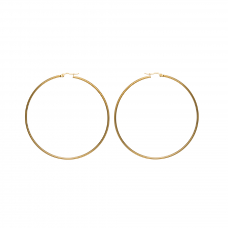 Náušnice Stainless Steel Mini Hoop Earring Gold